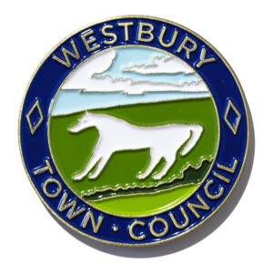 Custom Die Struck Pin Badges