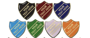 Custom Soft Enamel Badge Pins for Schools