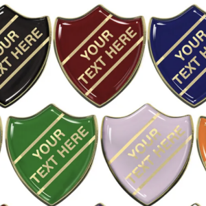 Custom Soft Enamel Badge Pins for Schools